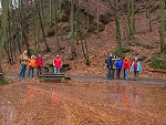 Toll! - Wasser im Teich