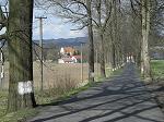 Allee nach Rosendorf