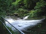 Im Liebethaler Grund