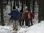 Wir hirschen durchs Unterholz