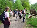 Bildungsteil: Lebensraum Totholz im Nationalpark