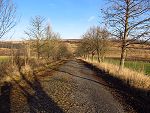 Die Allee ins Tal der Rietzschke