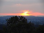 Sonnenuntergang auf dem Weinberg