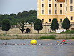 Keine Enten sondern Triathleten