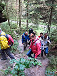 Bergan durch die Spitzsteinschlüchte