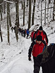 Bergan im Gänsemarsch