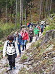 Anstieg aus dem Scholzengrund