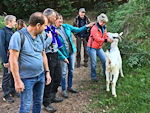Gruppenbild mit Ziege (ganz rechts)
