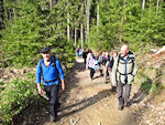 Auf dem Bammelweg (wie immer bergab)