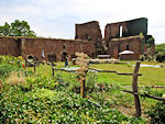 Klosterruine Heilig Kreuz