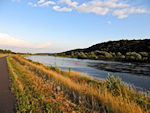 Die Elbe vor Sörnewitz