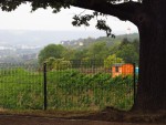 Ausblick in die Niederlößnitz