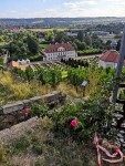 Blick vom Jacobstein auf Wackerbarths Ruhe