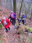 Hinauf auf den Scheibischen Berg