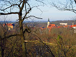 Schloss und Evangelische Hauptkirche