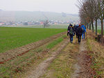 Am Walberg aus dem Wald heraus