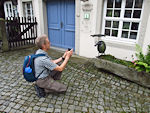 Komischer Vogel (rechts)