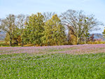 Herbstliche Farben der Natur