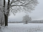 Winterlandschaft am Roten Busch