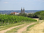 Blick auf den Meißner Burgberg