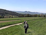 Blick auf Papststein und Gohrisch