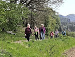 ... die hinterher schlurfen