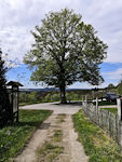 Rähmisch-Bank in Mittelndorf