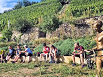Blick auf den Weinberg